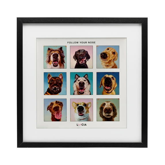 Stupell Industries Follow Your Nose Dogs Black Framed Print Under Glass design by Lucia Heffernan, 13 x 13