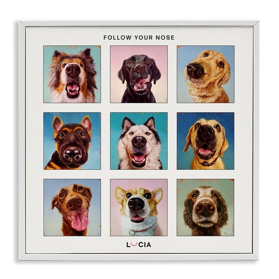 Stupell Industries Follow Your Nose Dogs White Framed Giclee Art design by Lucia Heffernan, 17 x 17