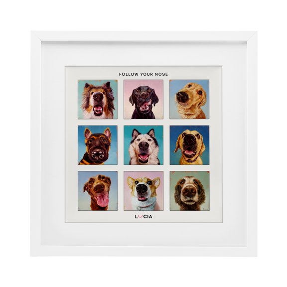 Stupell Industries Follow Your Nose Dogs White Framed Print Under Glass design by Lucia Heffernan, 16 x 16