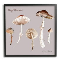 Stupell Industries Foraged Mushrooms Study Botanical & Floral Painting Black Framed Art Print Wall Art, 12 x 12