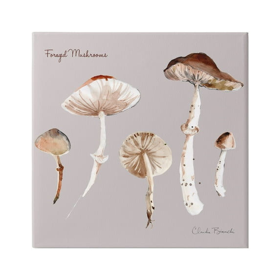 Stupell Industries Foraged Mushrooms Study Botanical & Floral Painting Gallery Wrapped Canvas Art Print Wall Art, 30 x 30