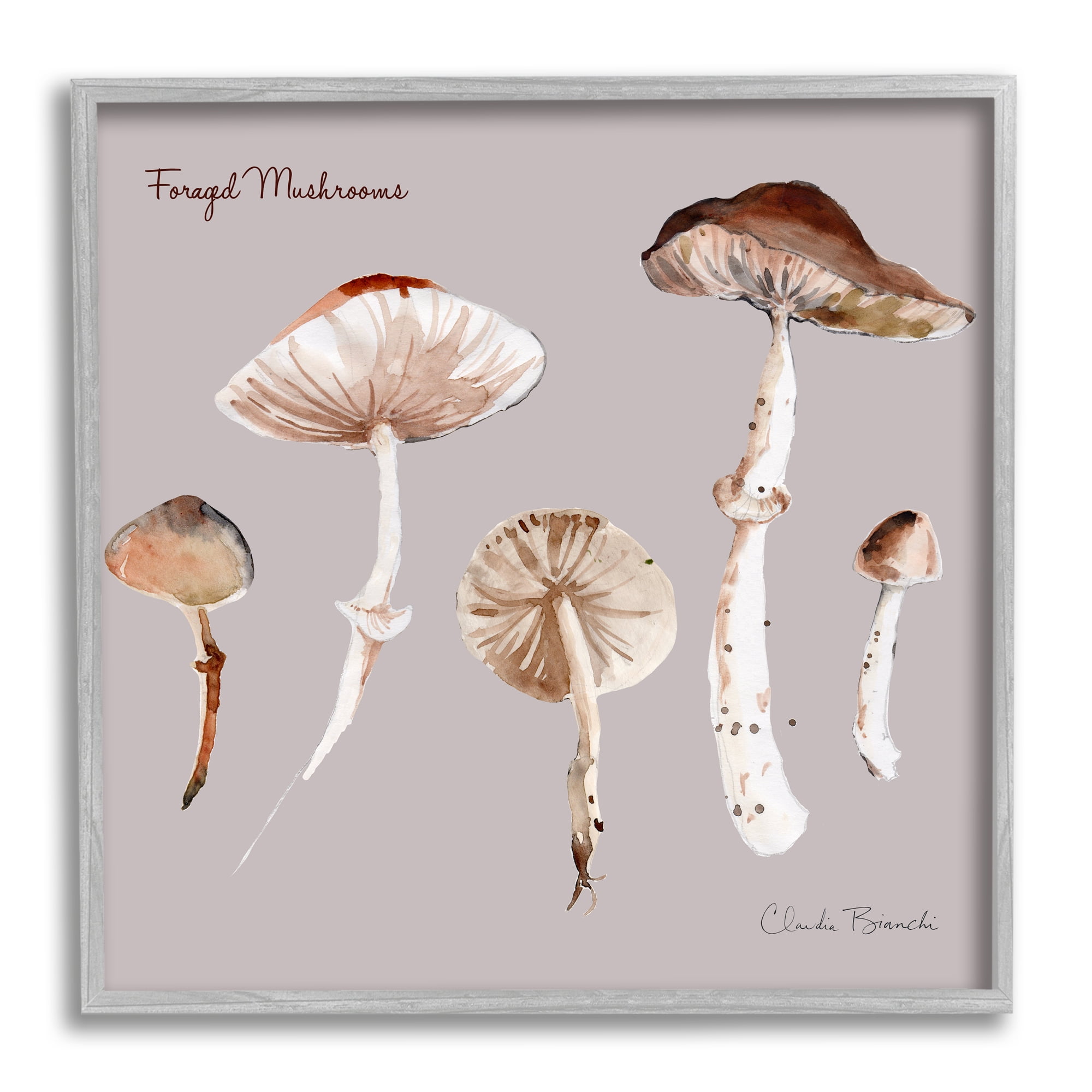 Stupell Industries Foraged Mushrooms Study Botanical & Floral Painting Gray Framed Art Print Wall Art, 24 x 24