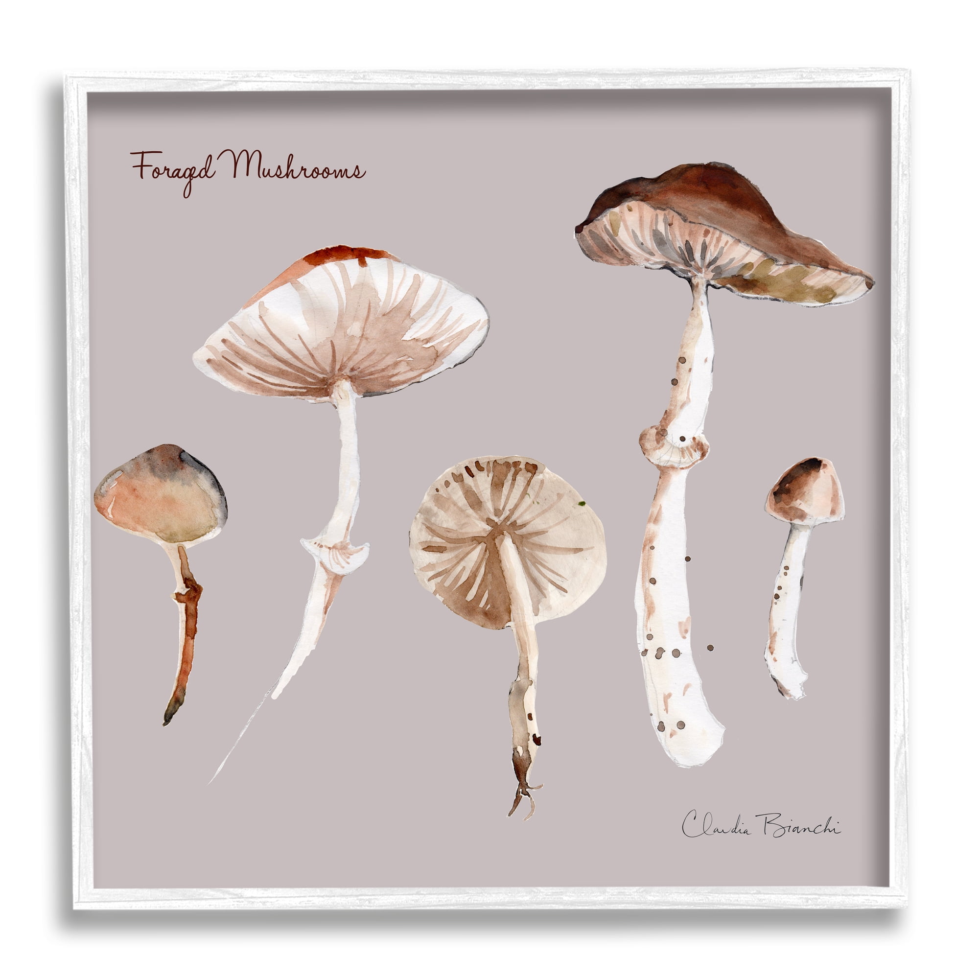Stupell Industries Foraged Mushrooms Study Botanical & Floral Painting White Framed Art Print Wall Art, 12 x 12