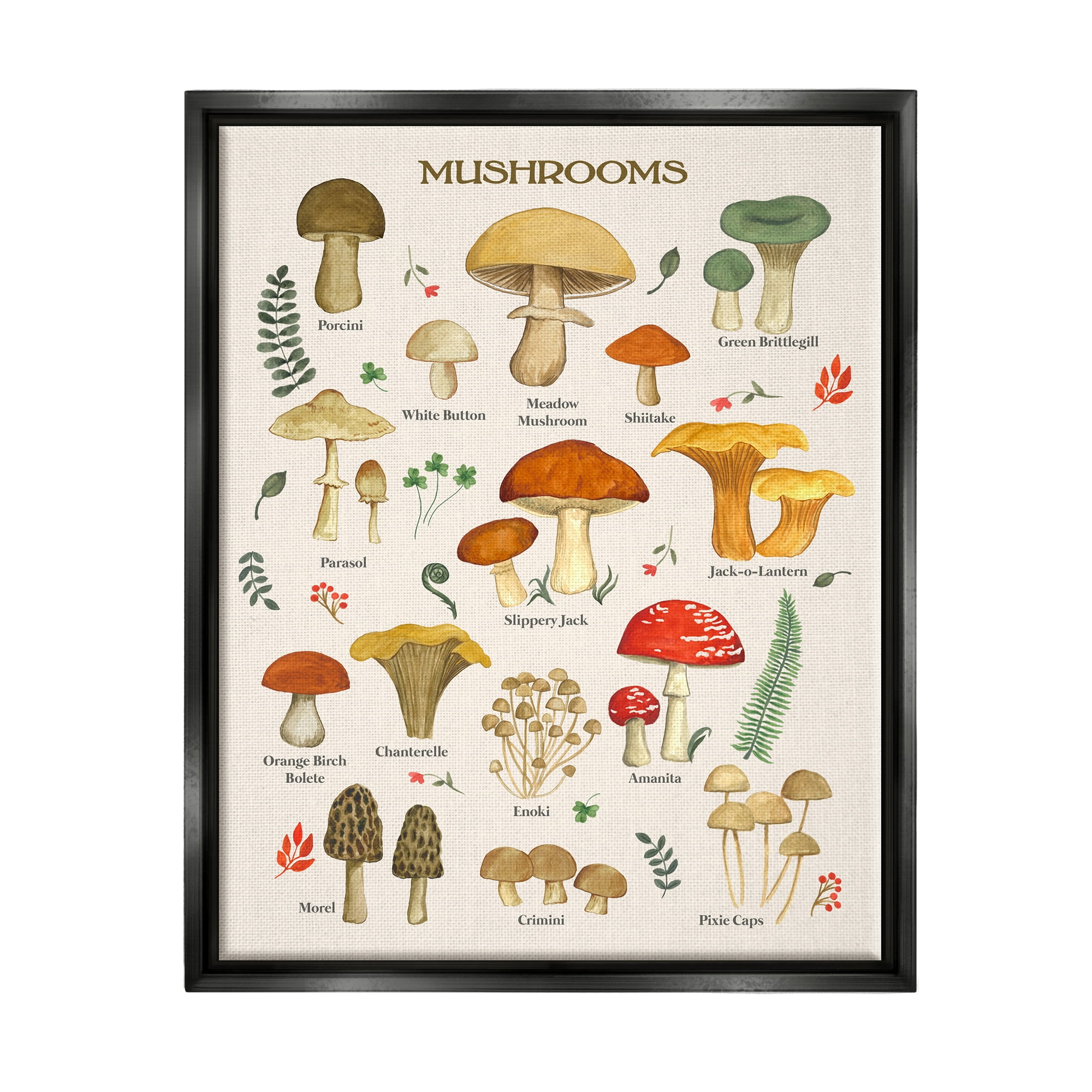 Stupell Industries Foraging Mushrooms Studies Botanical & Floral Painting Black Floater Framed Art Print Wall Art, 25 x 31