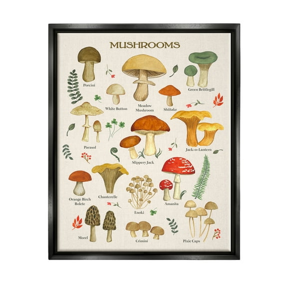 Stupell Industries Foraging Mushrooms Studies Botanical & Floral Painting Black Floater Framed Art Print Wall Art, 25 x 31