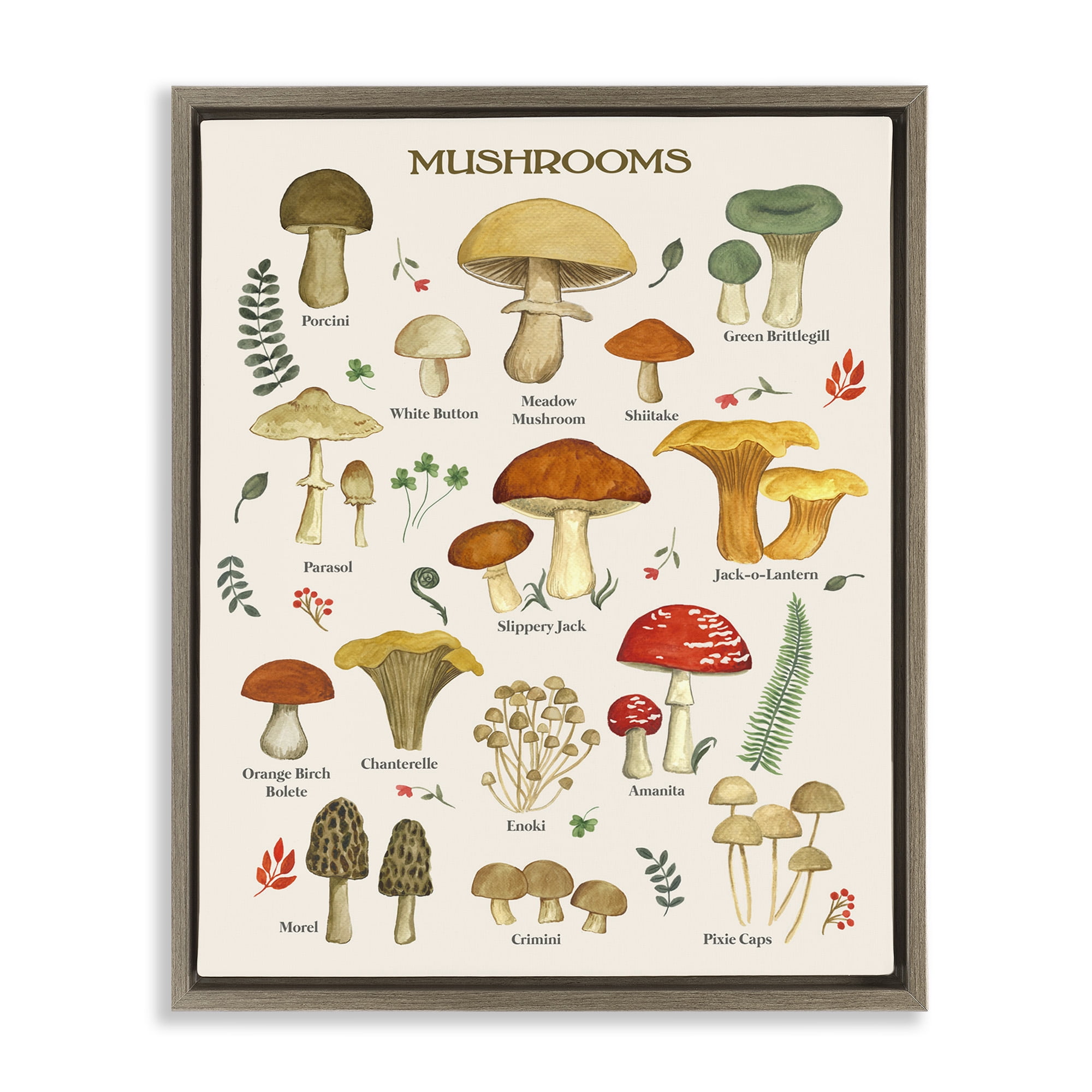 Stupell Industries Foraging Mushrooms Studies Botanical & Floral Painting Brown Floater Framed Canvas Art Print Wall Art, 25 x 31
