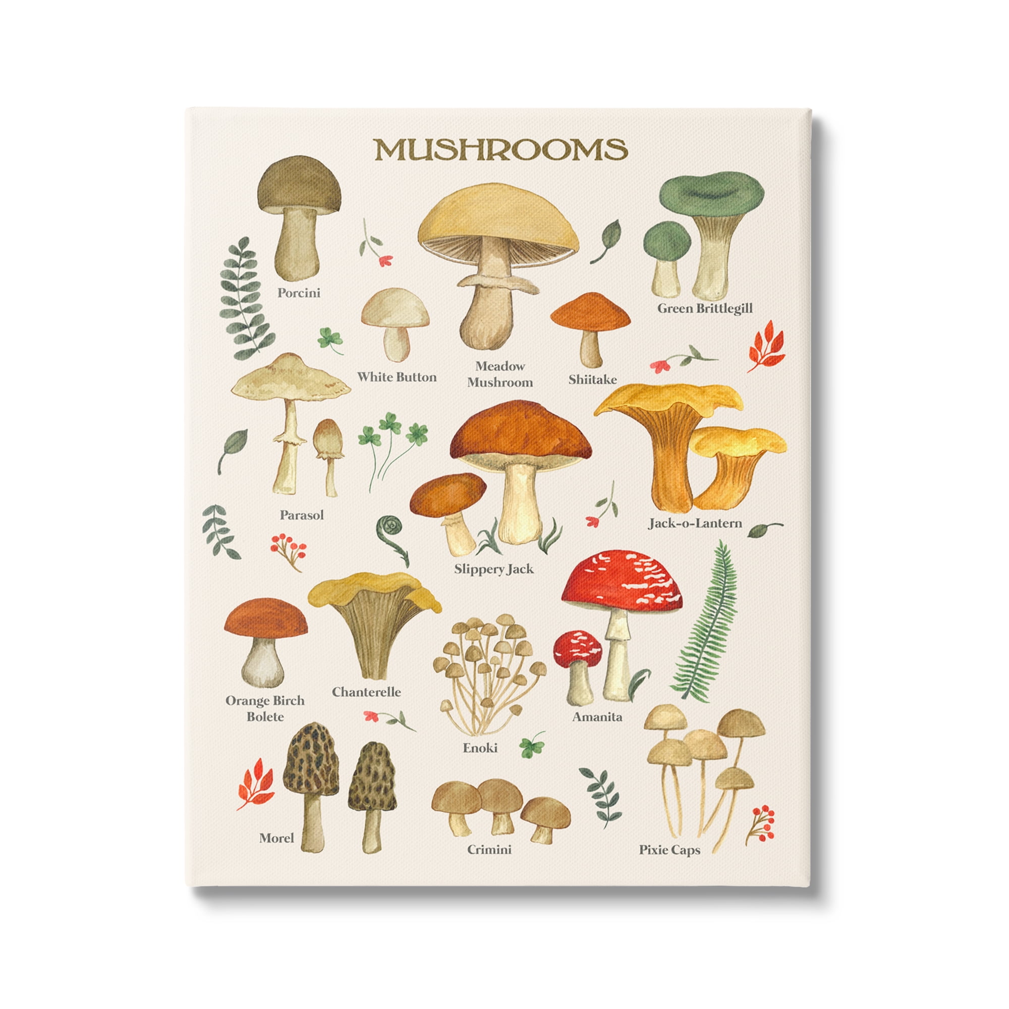 Stupell Industries Foraging Mushrooms Studies Botanical & Floral Painting Gallery Wrapped Canvas Print Wall Art, 30 x 40