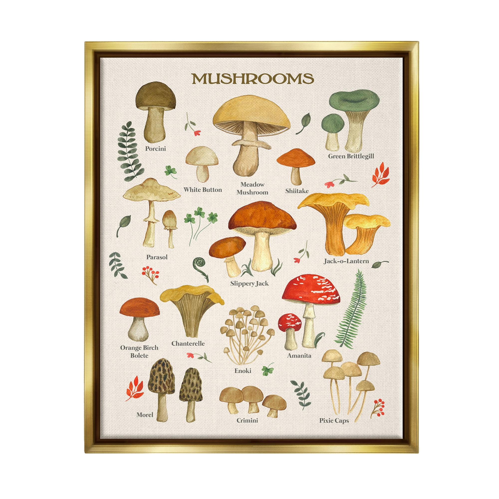 Stupell Industries Foraging Mushrooms Studies Botanical & Floral Painting Gold Floater Framed Art Print Wall Art, 17 x 21