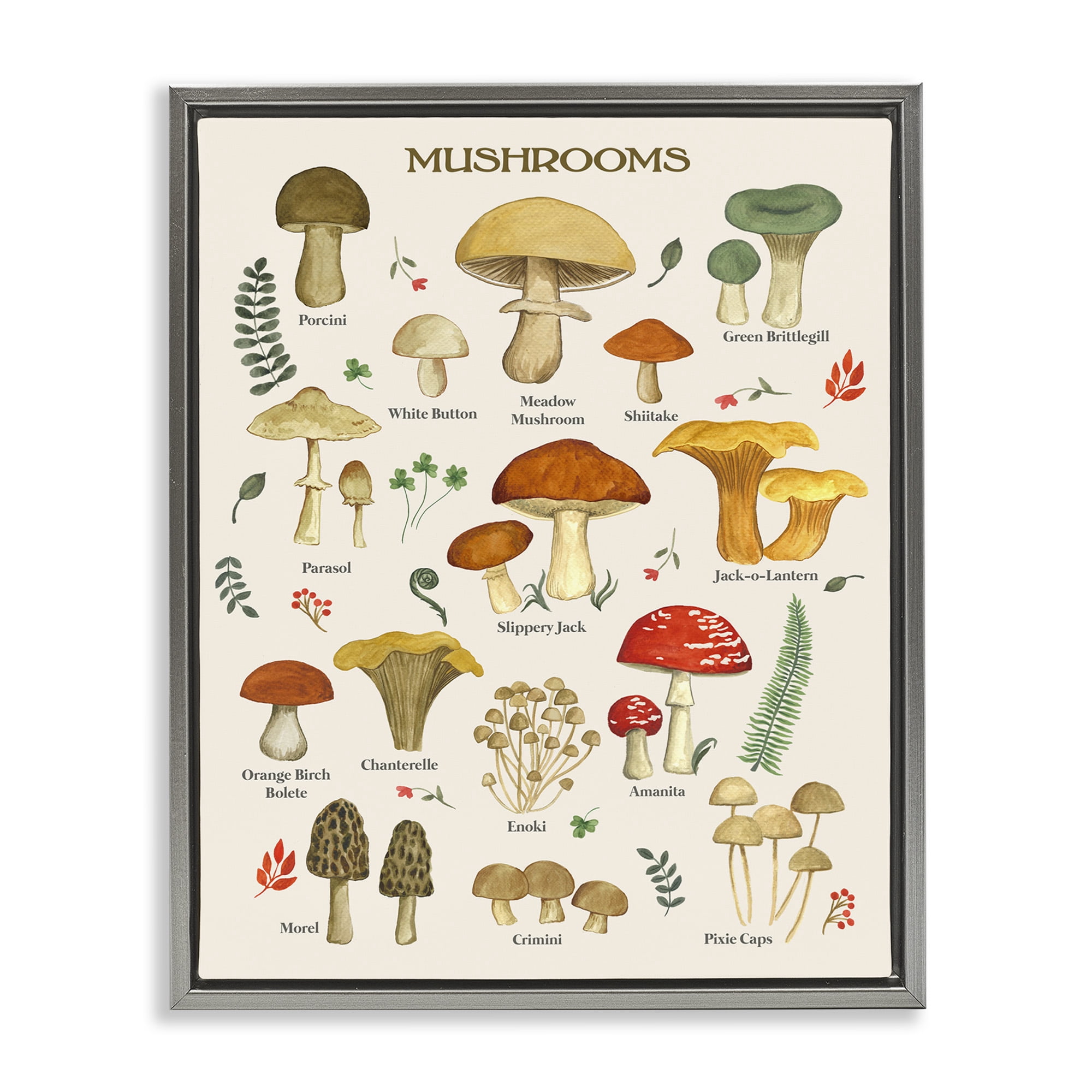 Stupell Industries Foraging Mushrooms Studies Botanical & Floral Painting Gray Floater Framed Art Print Wall Art, 25 x 31