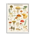 thumbnail image 1 of Stupell Industries Foraging Mushrooms Studies Botanical & Floral Painting White Framed Art Print Wall Art, 11 x 14, 1 of 8