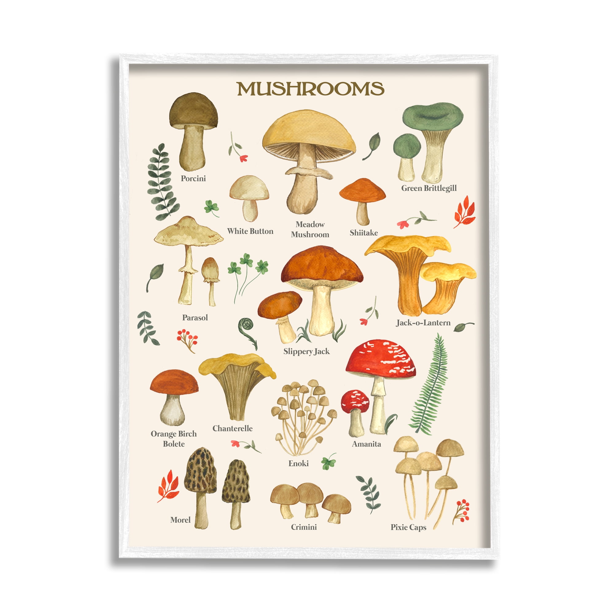 Stupell Industries Foraging Mushrooms Studies Botanical & Floral Painting White Framed Art Print Wall Art, 24 x 30