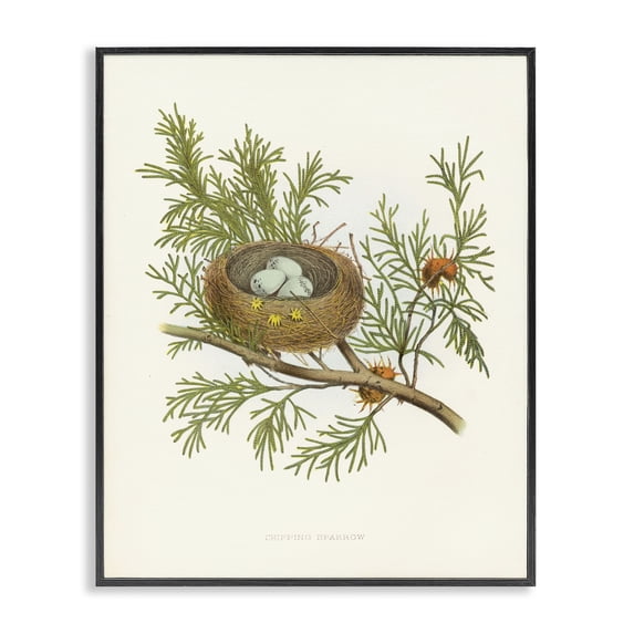 Stupell Industries Forest Bird Nest on Branch Plants & Flowers Painting Black Framed Art Print Wall Art, 24 x 30