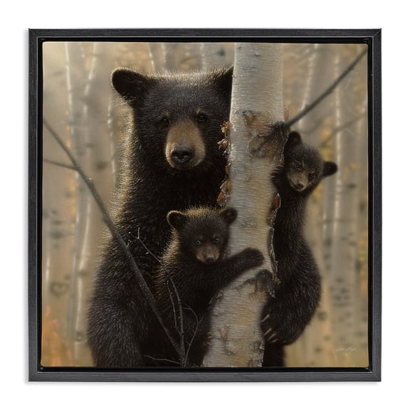 Stupell Industries Forest Black Bear and Cubs Animals & Insects Photography Black Floater Framed Canvas Art Print Wall Art, 18 x 18