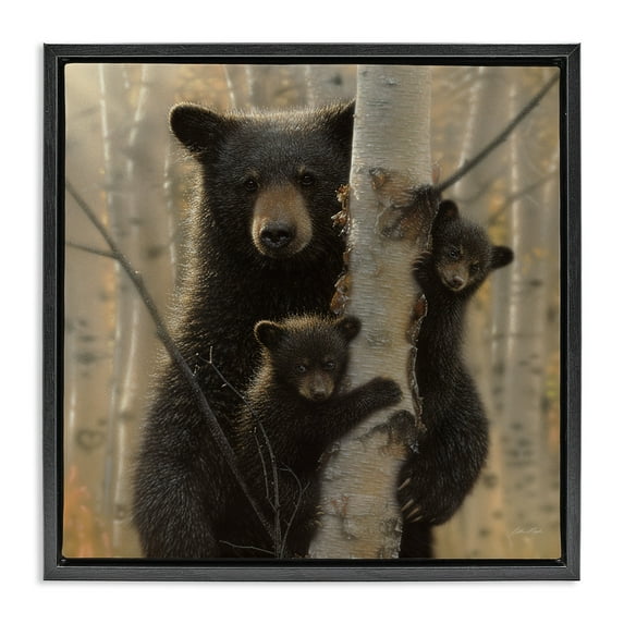 Stupell Industries Forest Black Bear and Cubs Animals & Insects Photography Black Floater Framed Canvas Art Print Wall Art, 25 x 25