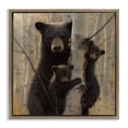 thumbnail image 1 of Stupell Industries Forest Black Bear and Cubs Animals & Insects Photography Brown Floater Framed Canvas Art Print Wall Art, 18 x 18, 1 of 9