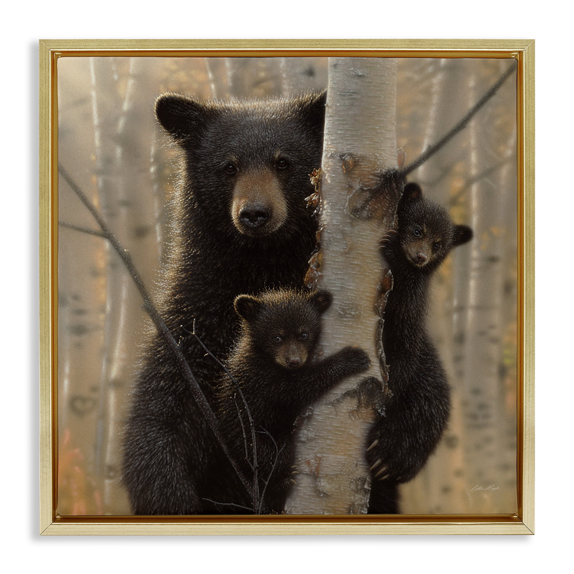 Stupell Industries Forest Black Bear and Cubs Animals & Insects Photography Gold Floater Framed Canvas Art Print Wall Art, 18 x 18