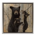 thumbnail image 1 of Stupell Industries Forest Black Bear and Cubs Animals & Insects Photography Gray Floater Framed Canvas Art Print Wall Art, 25 x 25, 1 of 9