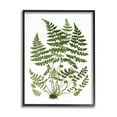 thumbnail image 1 of Stupell Industries Forest Botanicals Charming White Willow Greenery Black Framed, 24 x 30, Design by Lettered and Lined, 1 of 5