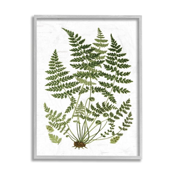 Stupell Industries Forest Botanicals Charming White Willow Greenery Grey Framed, 16 x 20, Design by Lettered and Lined