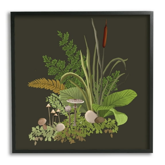 Stupell Industries Forest Botanicals Plants Ferns Mushrooms Sprouting Graphic Art Black Framed Art Print Wall Art, Design by House of Rose