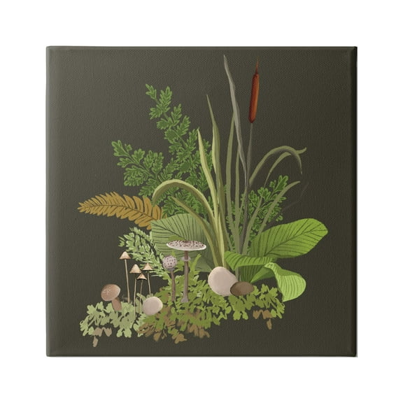 Stupell Industries Forest Botanicals Plants Ferns Mushrooms Sprouting Graphic Art Gallery Wrapped Canvas Print Wall Art, Design by House of Rose