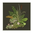 thumbnail image 1 of Stupell Industries Forest Botanicals Plants Ferns Mushrooms Sprouting Graphic Art Unframed Art Print Wall Art, Design by House of Rose, 1 of 5