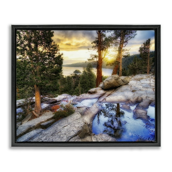 Stupell Industries Forest Cliff Landscape Landscape & Nature Painting Black Floater Framed Canvas Art Print Wall Art, 21 x 17