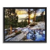 Stupell Industries Forest Cliff Landscape Landscape & Nature Painting Black Floater Framed Canvas Art Print Wall Art, 21 x 17