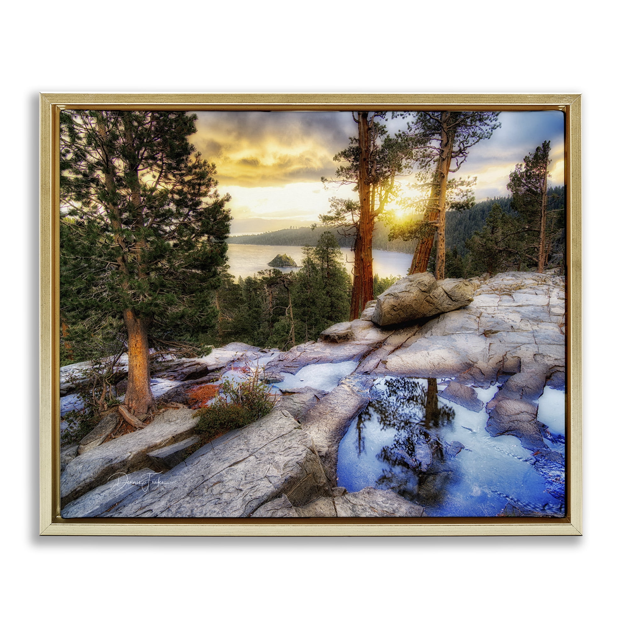 Stupell Industries Forest Cliff Landscape Landscape & Nature Painting Gold Floater Framed Canvas Art Print Wall Art, 31 x 25