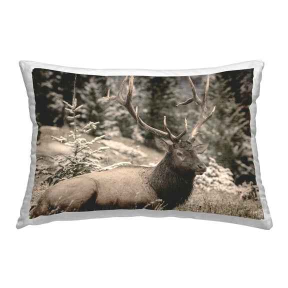 Stupell Industries Forest Elk Portrait Decorative Printed Throw Pillow, 14 x 20