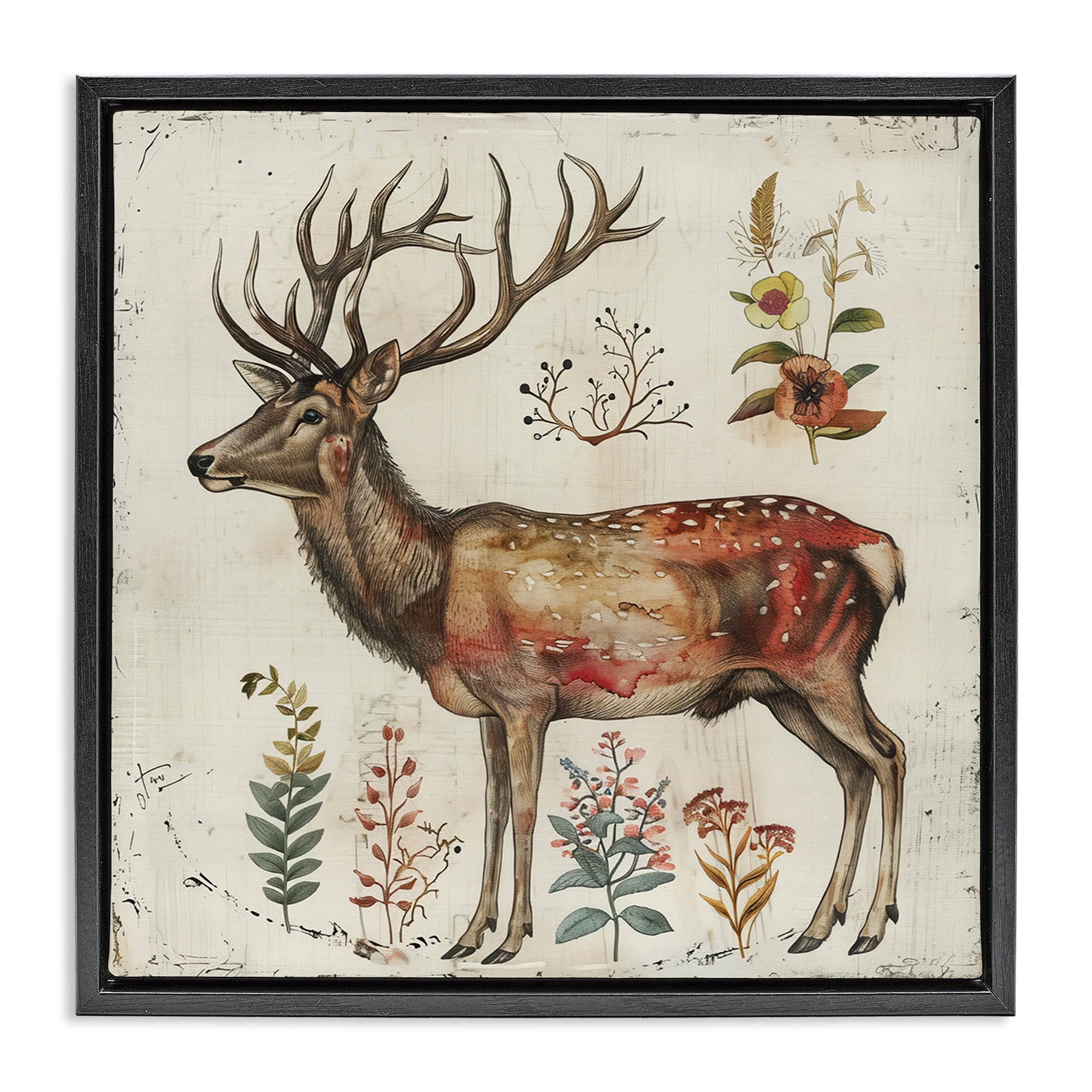 Stupell Industries Forest Elk with Botanicals Animals & Insects Painting Black Floater Framed Canvas Art Print Wall Art, 25 x 25