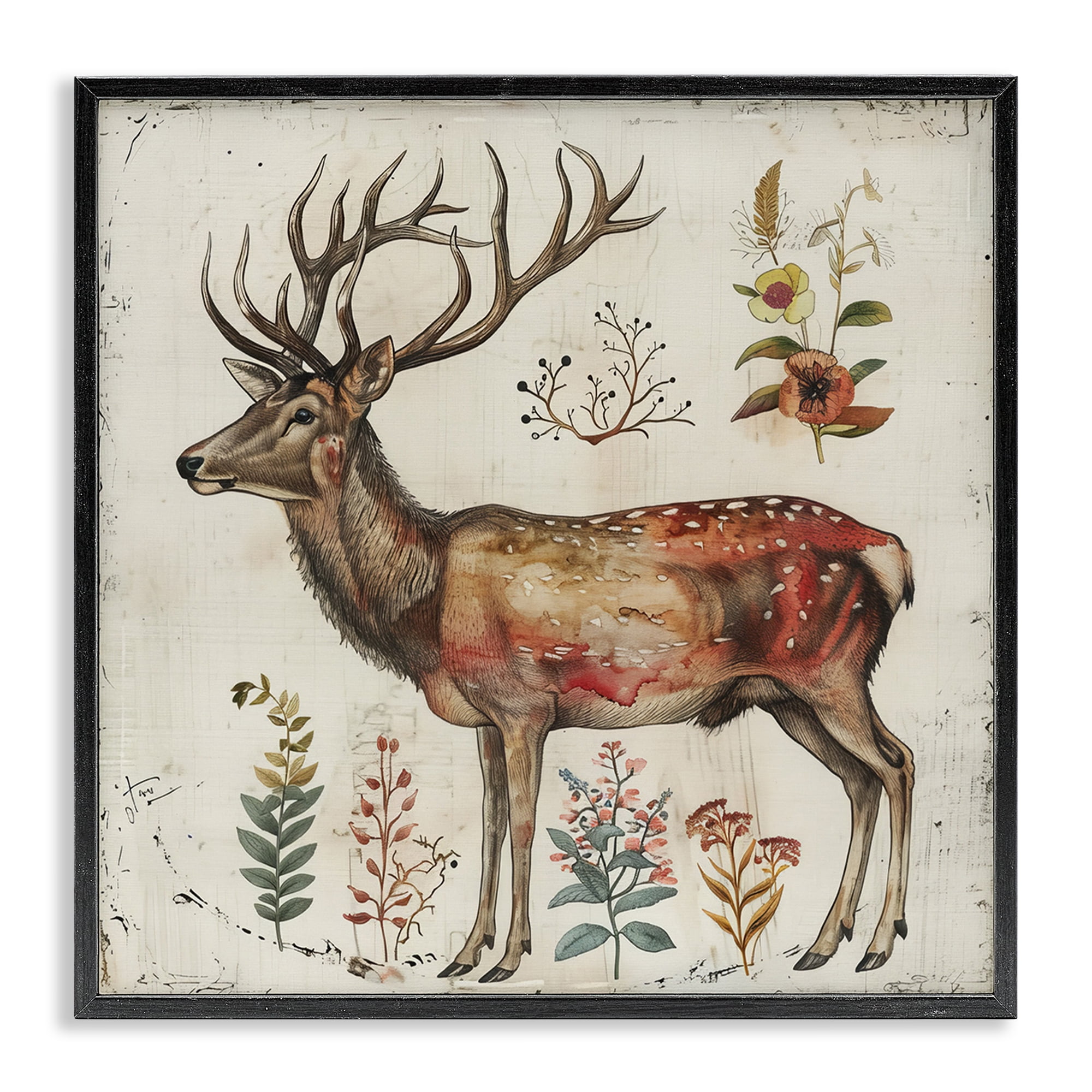 Stupell Industries Forest Elk with Botanicals Animals & Insects Painting Black Framed Art Print Wall Art, 24 x 24