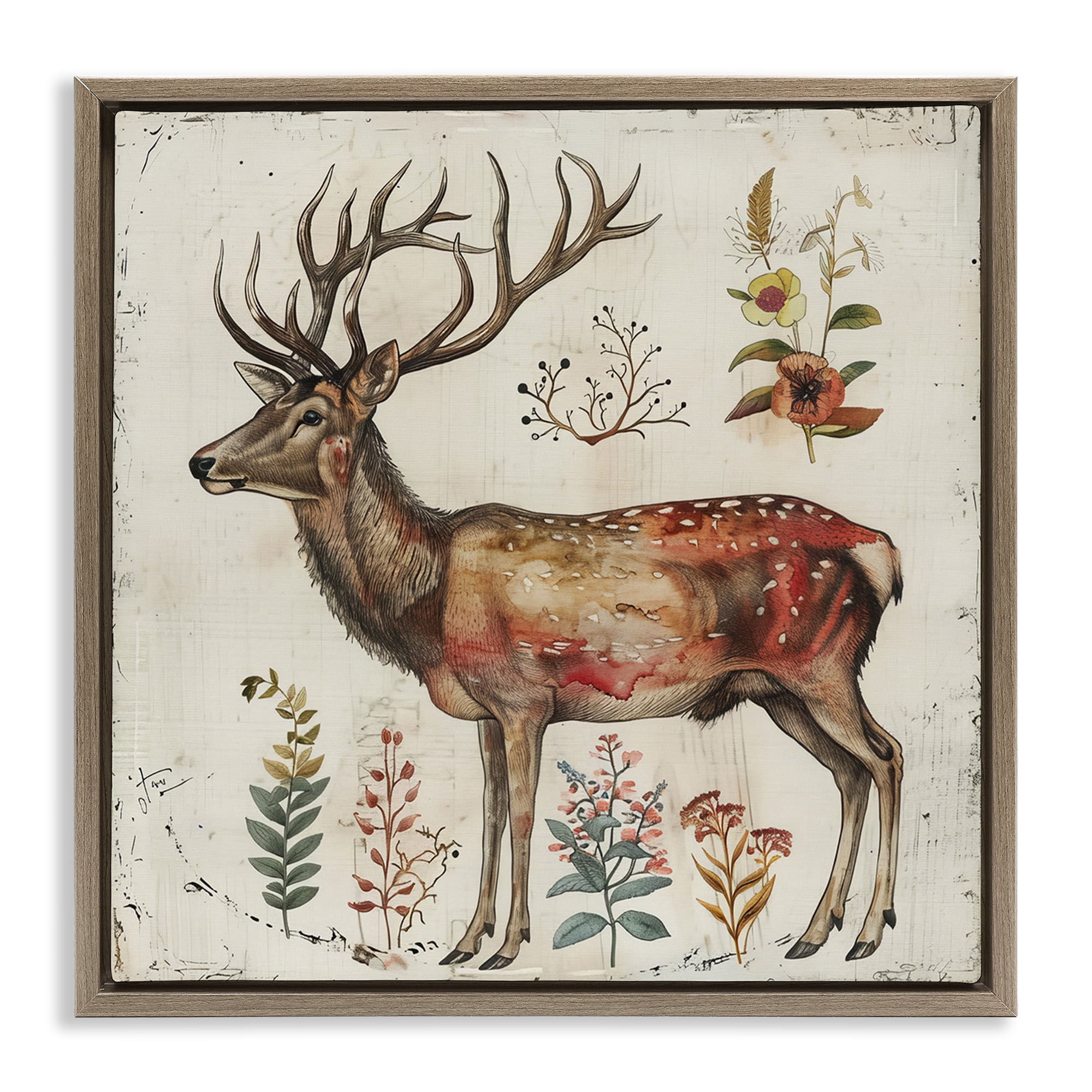Stupell Industries Forest Elk with Botanicals Animals & Insects Painting Brown Floater Framed Canvas Art Print Wall Art, 18 x 18