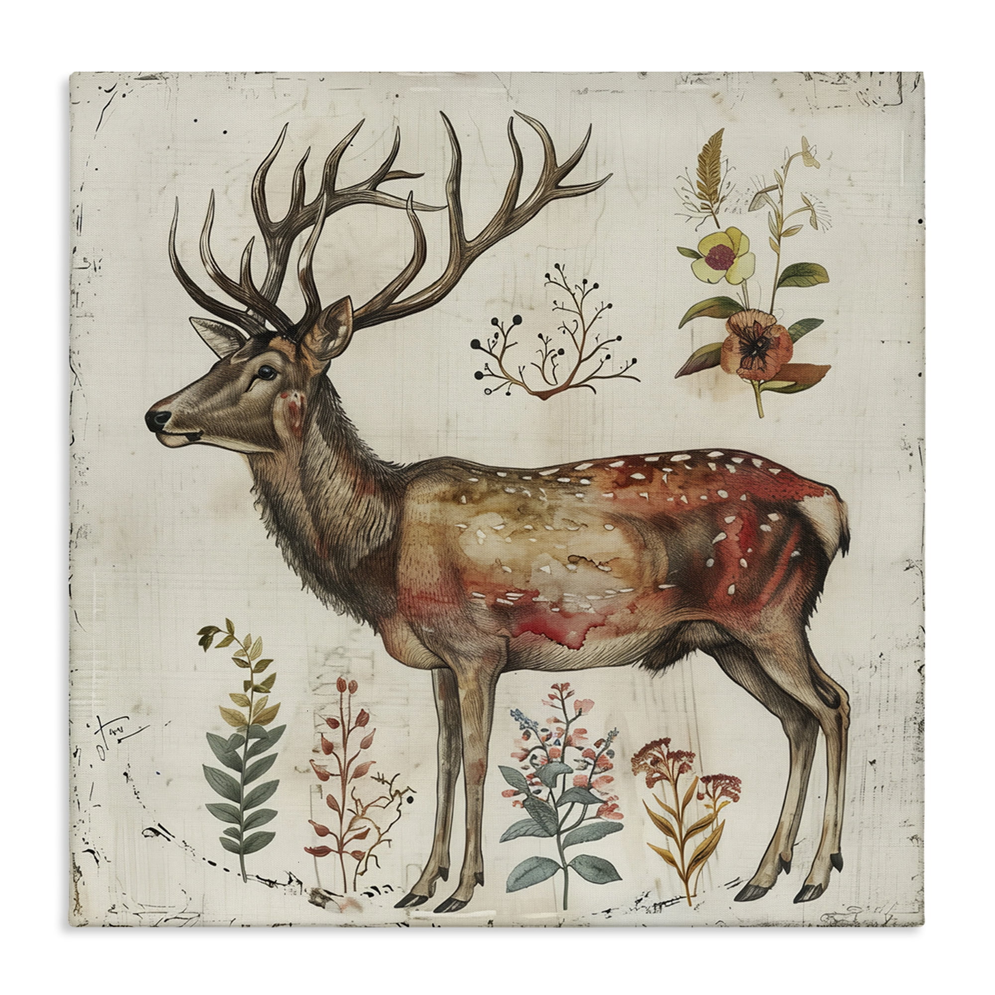 Stupell Industries Forest Elk with Botanicals Animals & Insects Painting Gallery Wrapped Canvas Art Print Wall Art, 30 x 30
