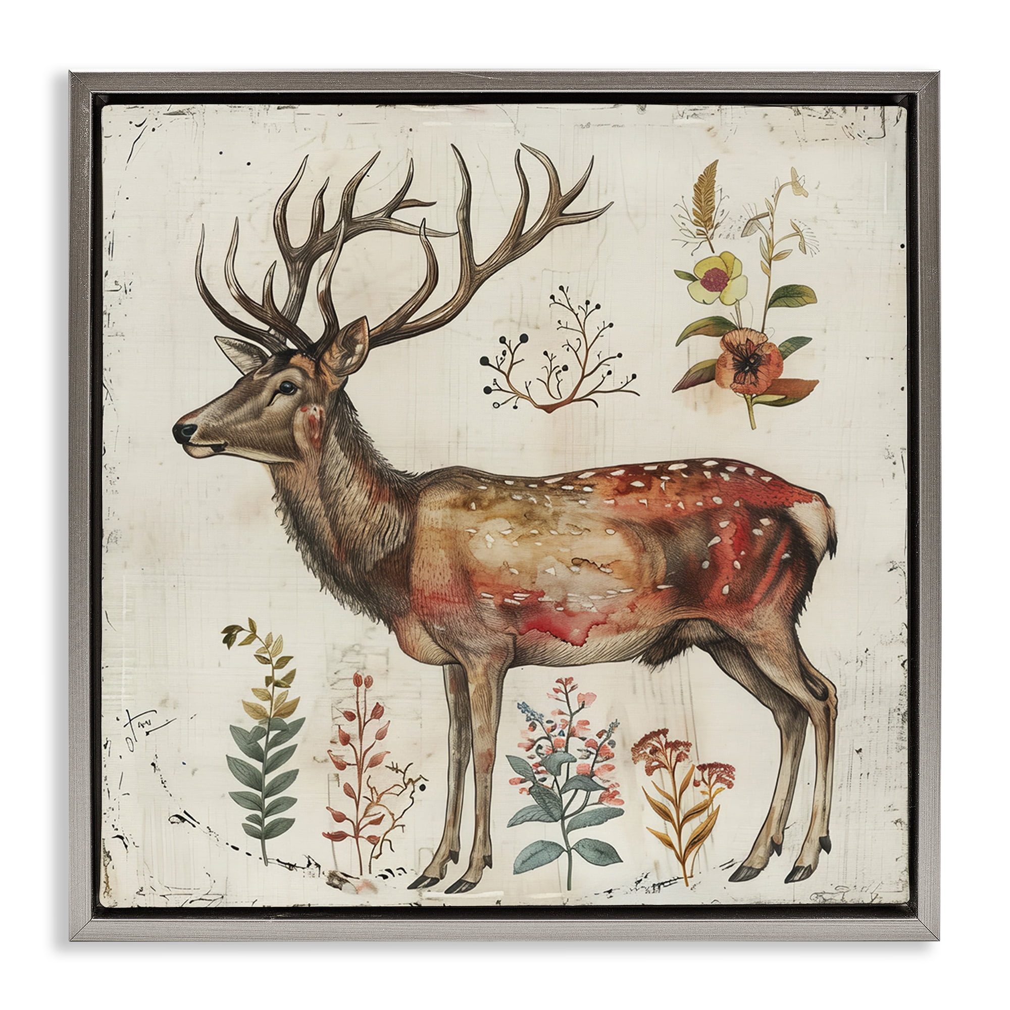 Stupell Industries Forest Elk with Botanicals Animals & Insects Painting Gray Floater Framed Canvas Art Print Wall Art, 18 x 18