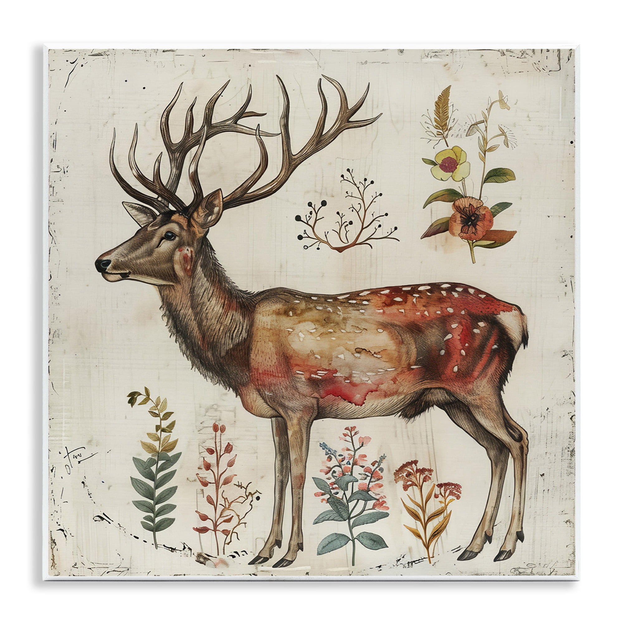 Stupell Industries Forest Elk with Botanicals Animals & Insects Painting Unframed Art Print Wall Art, 12 x 12