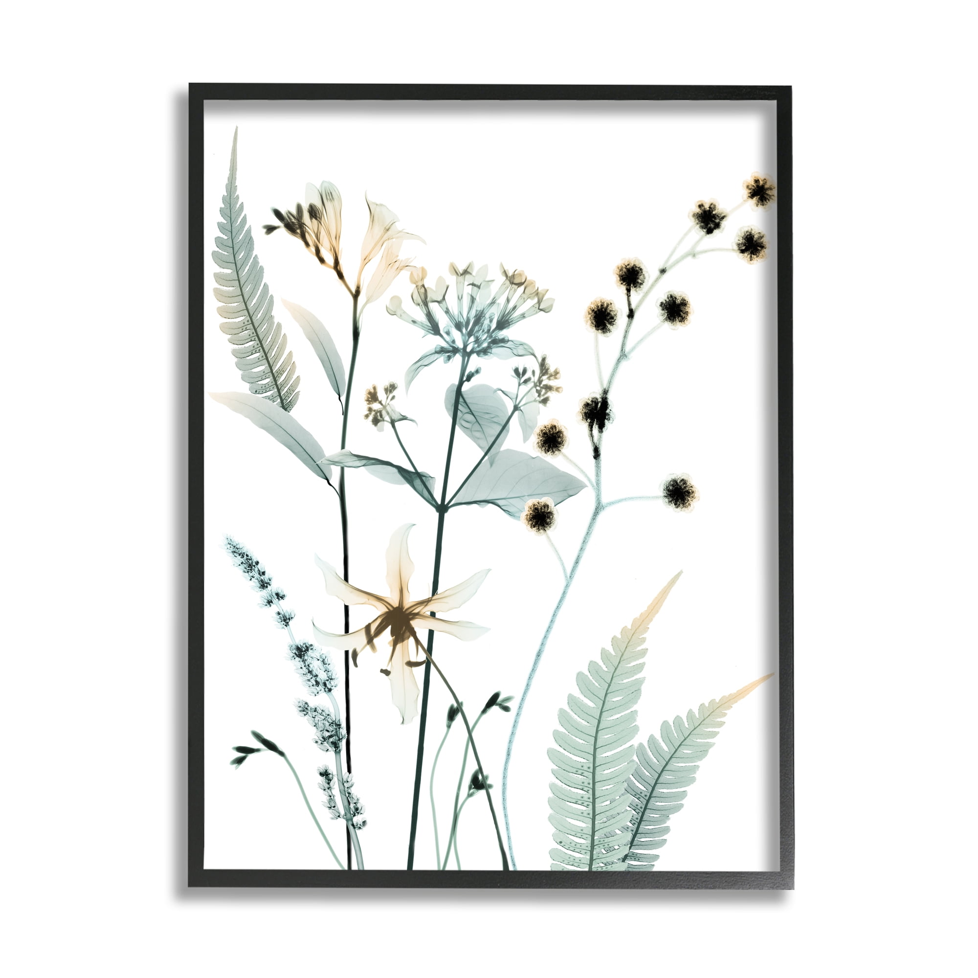 Stupell Industries Forest Garden Botanicals Translucent Plant Botanical & Floral Photography Black Framed Art Print Wall Art, 24 x 30