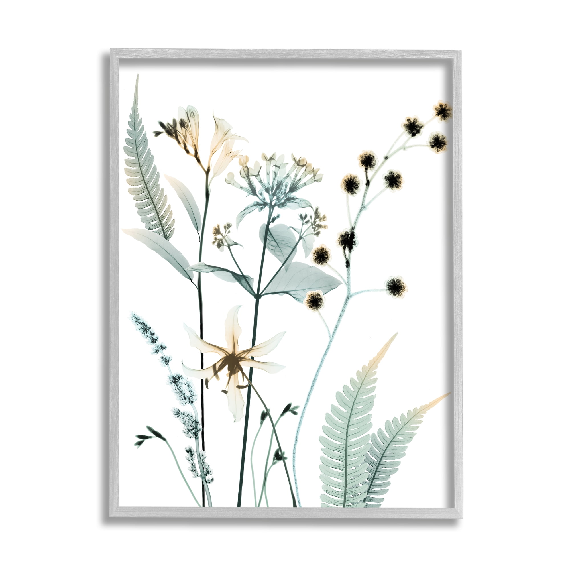 Stupell Industries Forest Garden Botanicals Translucent Plant Botanical & Floral Photography Gray Framed Art Print Wall Art, 24 x 30