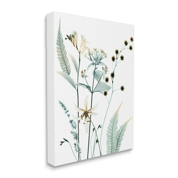Stupell Industries Forest Garden Botanicals Translucent Plant Photography, 16 x 20, Design by Albert Koetsier