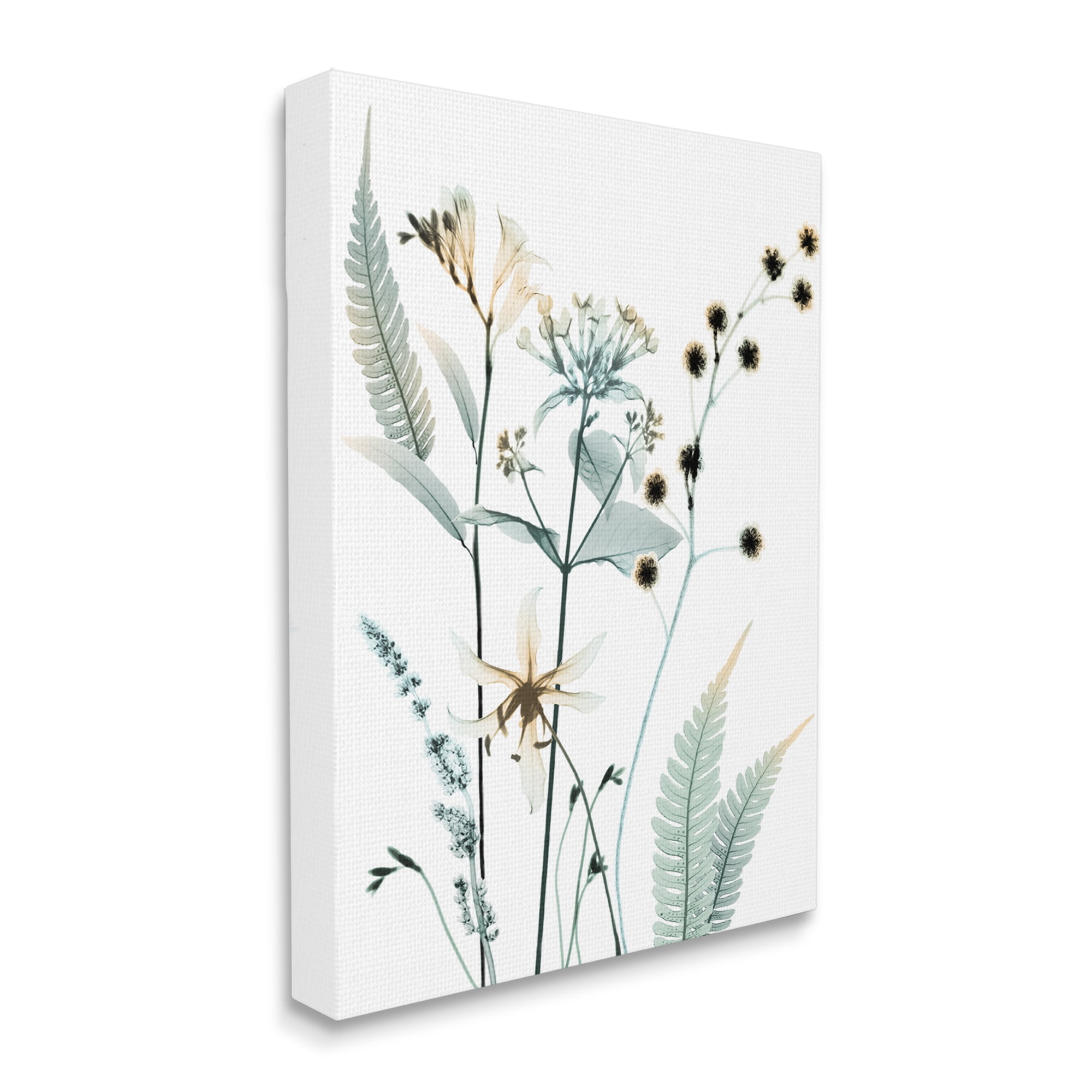 Stupell Industries Forest Garden Botanicals Translucent Plant Photography, 36 x 48, Design by Albert Koetsier