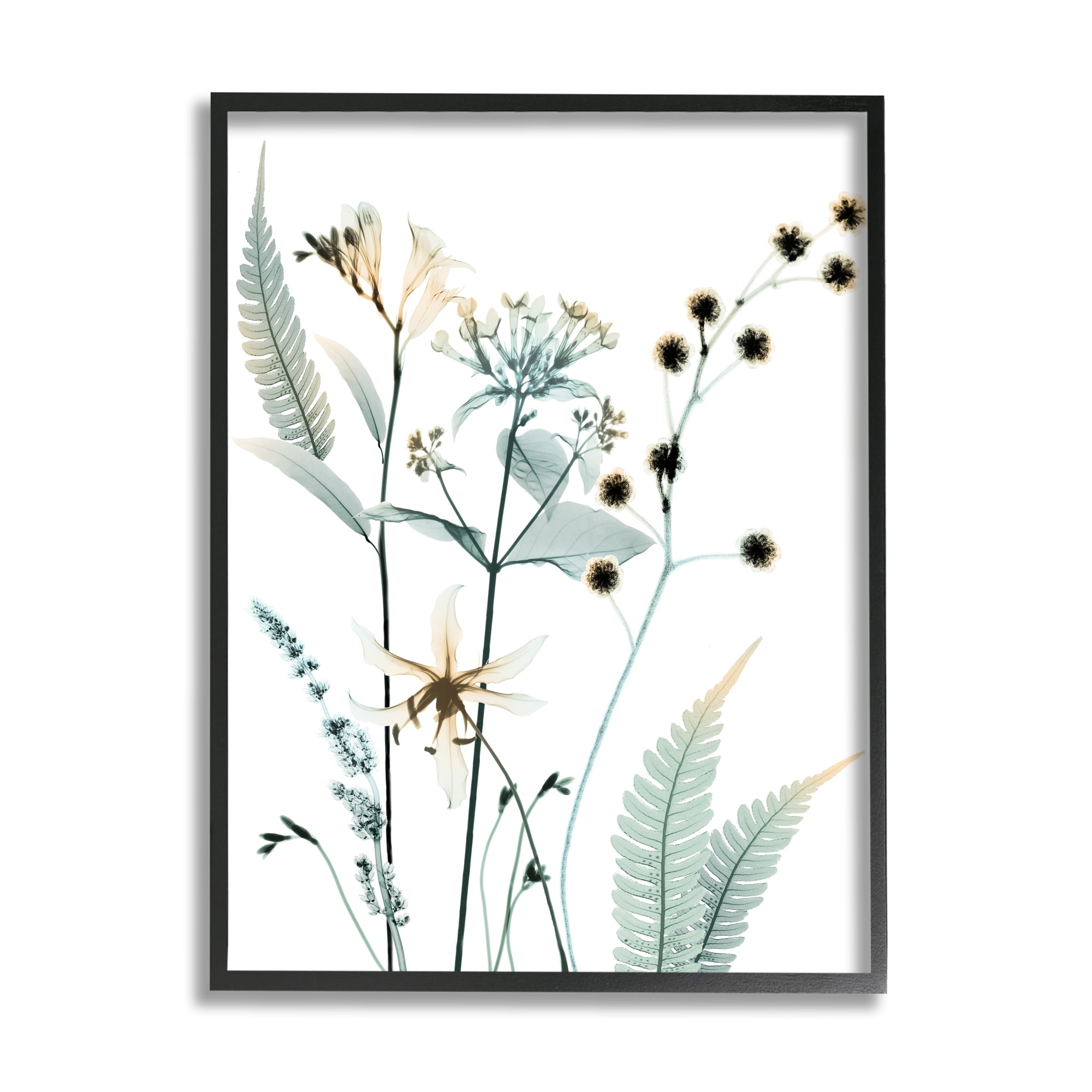 Stupell Industries Forest Garden Botanicals Translucent Plant Photography Black Framed Art Print Wall Art, 11x14, by Albert Koetsier