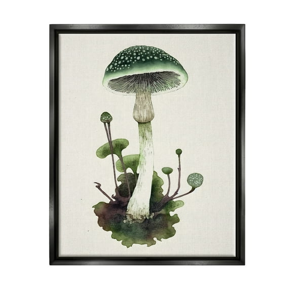 Stupell Industries Forest Green Mushroom Botanical & Floral Painting Black Floater Framed Canvas Art Print Wall Art, 17 x 21