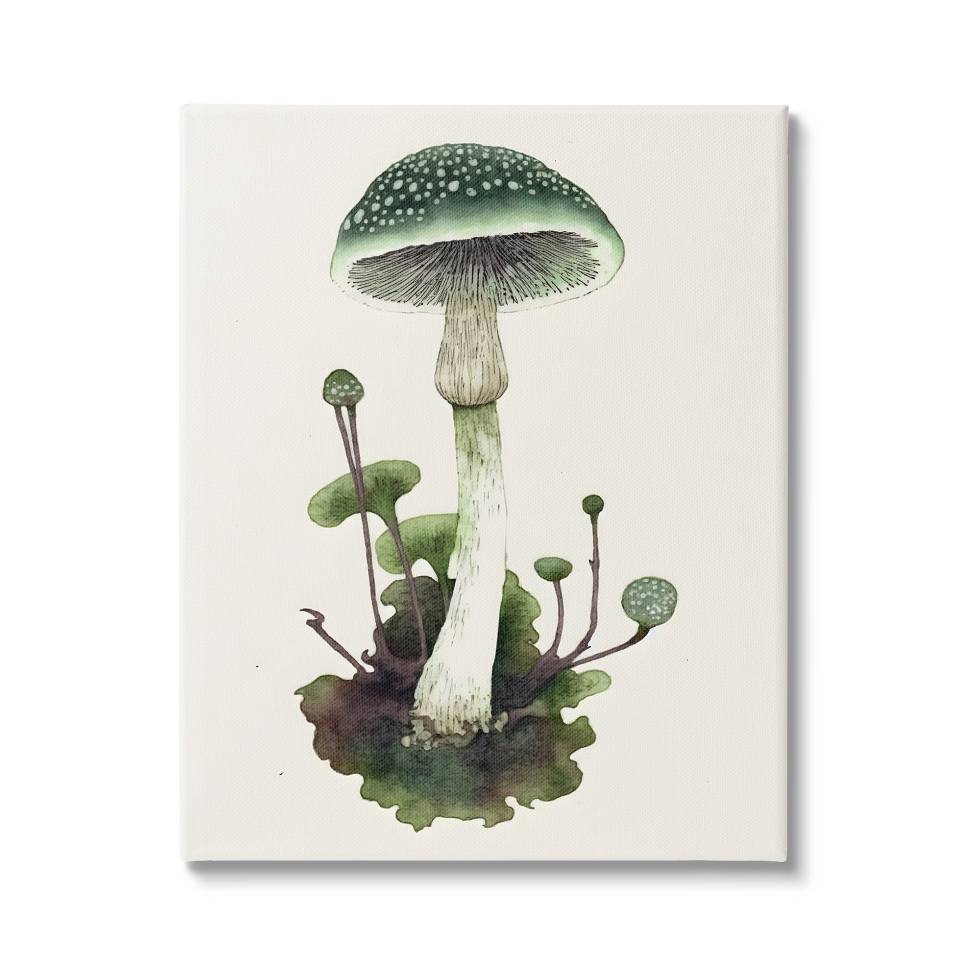 Stupell Industries Forest Green Mushroom Botanical & Floral Painting Gallery Wrapped Canvas Art Print Wall Art, 24 x 30