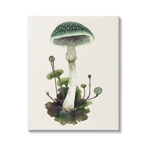 Stupell Industries Forest Green Mushroom Botanical & Floral Painting Gallery Wrapped Canvas Art Print Wall Art, 24 x 30