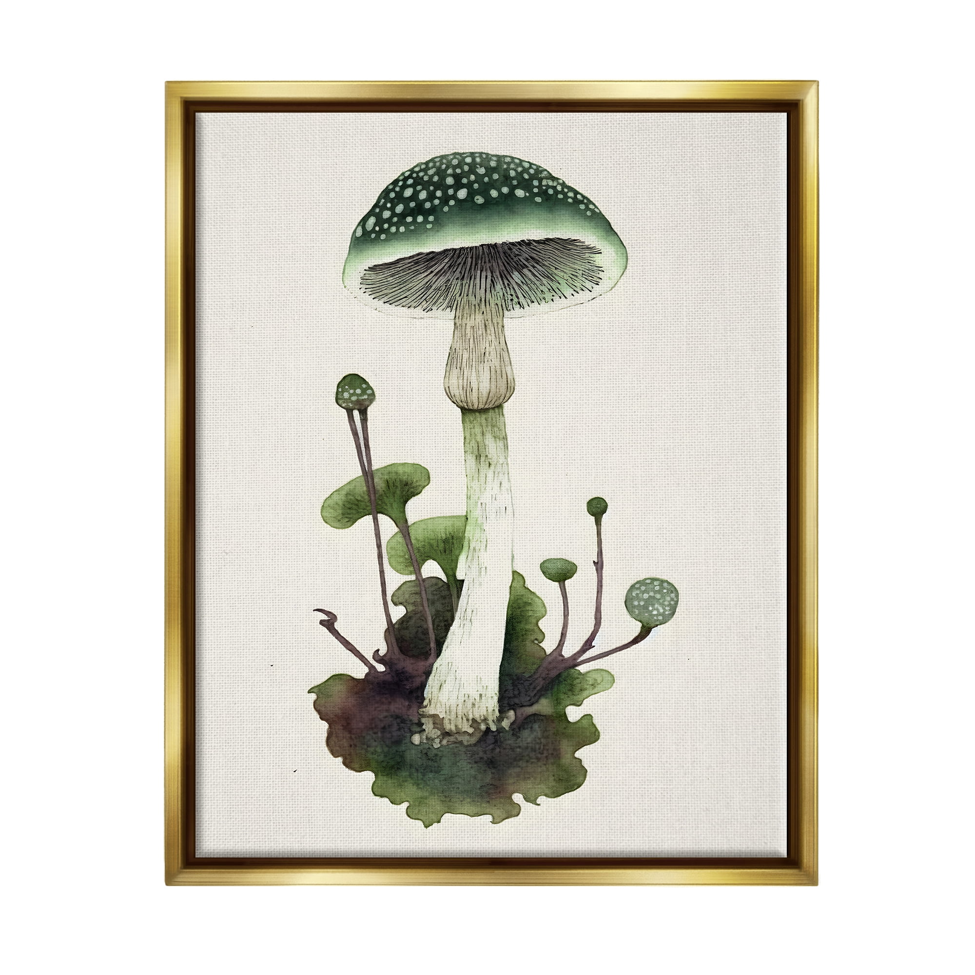 Stupell Industries Forest Green Mushroom Botanical & Floral Painting Gold Floater Framed Canvas Art Print Wall Art, 25 x 31