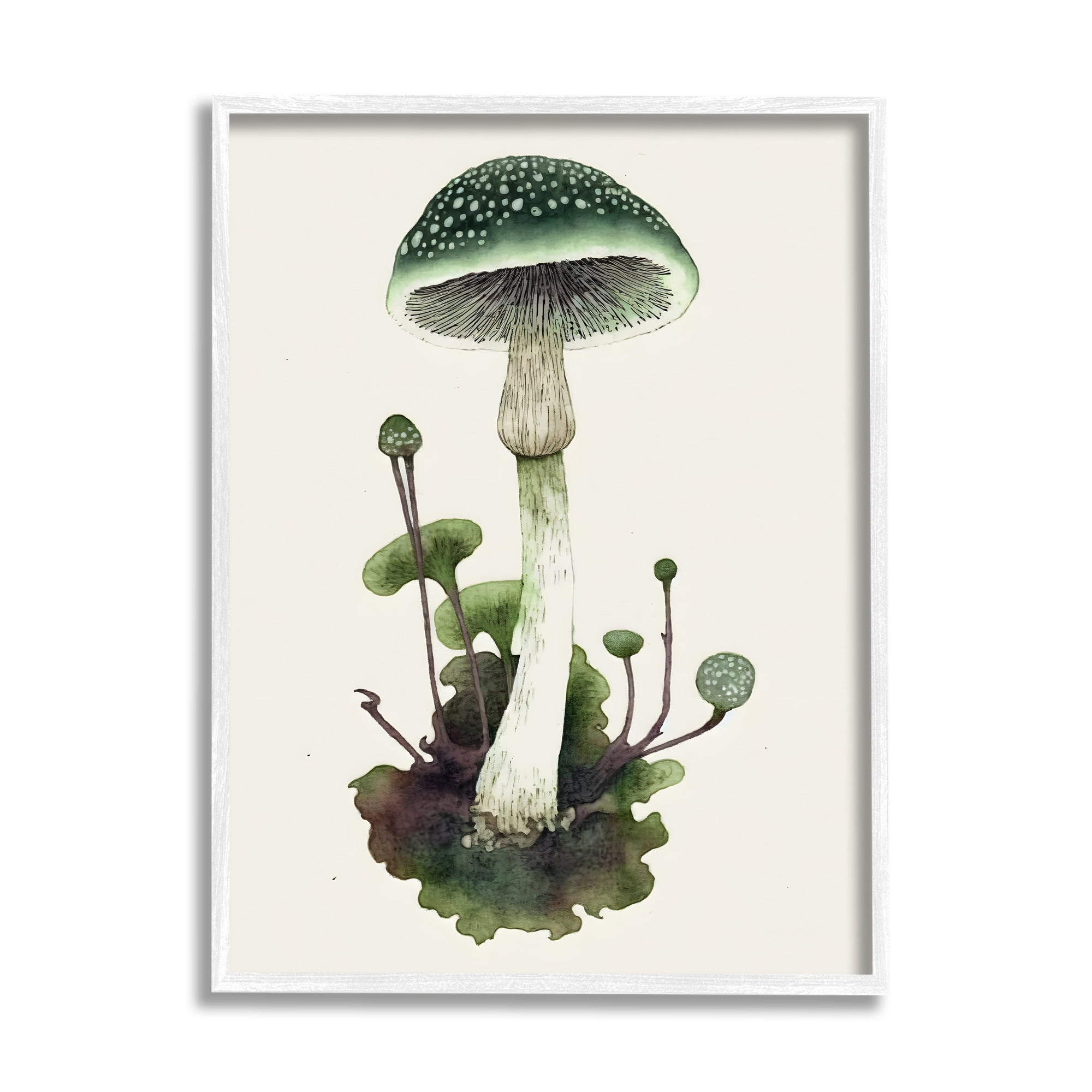 Stupell Industries Forest Green Mushroom Botanical & Floral Painting White Framed Art Print Wall Art, 16 x 20