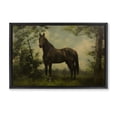 thumbnail image 1 of Stupell Industries Traditional Forest Horse Portrait Black Floating Frame Canvas Art, 25 x 17, by Petals Prints Design, 1 of 8