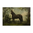 thumbnail image 1 of Stupell Industries Traditional Forest Horse Portrait Canvas Art, 24 x 16, by Petals Prints Design, 1 of 8