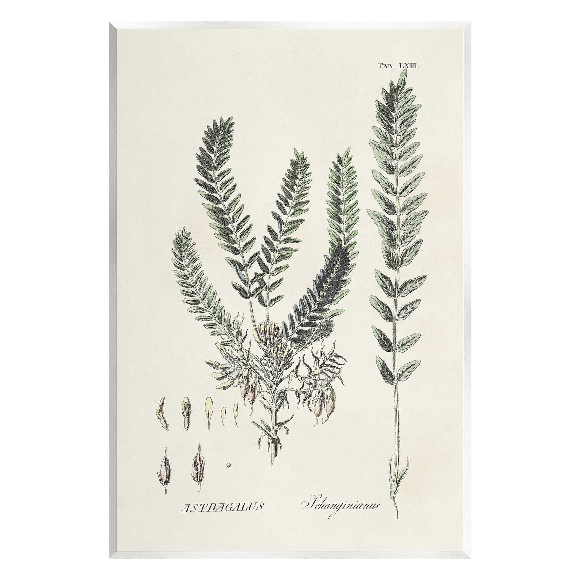 Vintage Botanical Forest Leaves Art Print on MDF Wood, 13 x 19