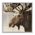 thumbnail image 1 of Stupell Industries Forest Moose Distressed Animals Painting Gray Framed Art Print Wall Art, 12 x 12, 1 of 2